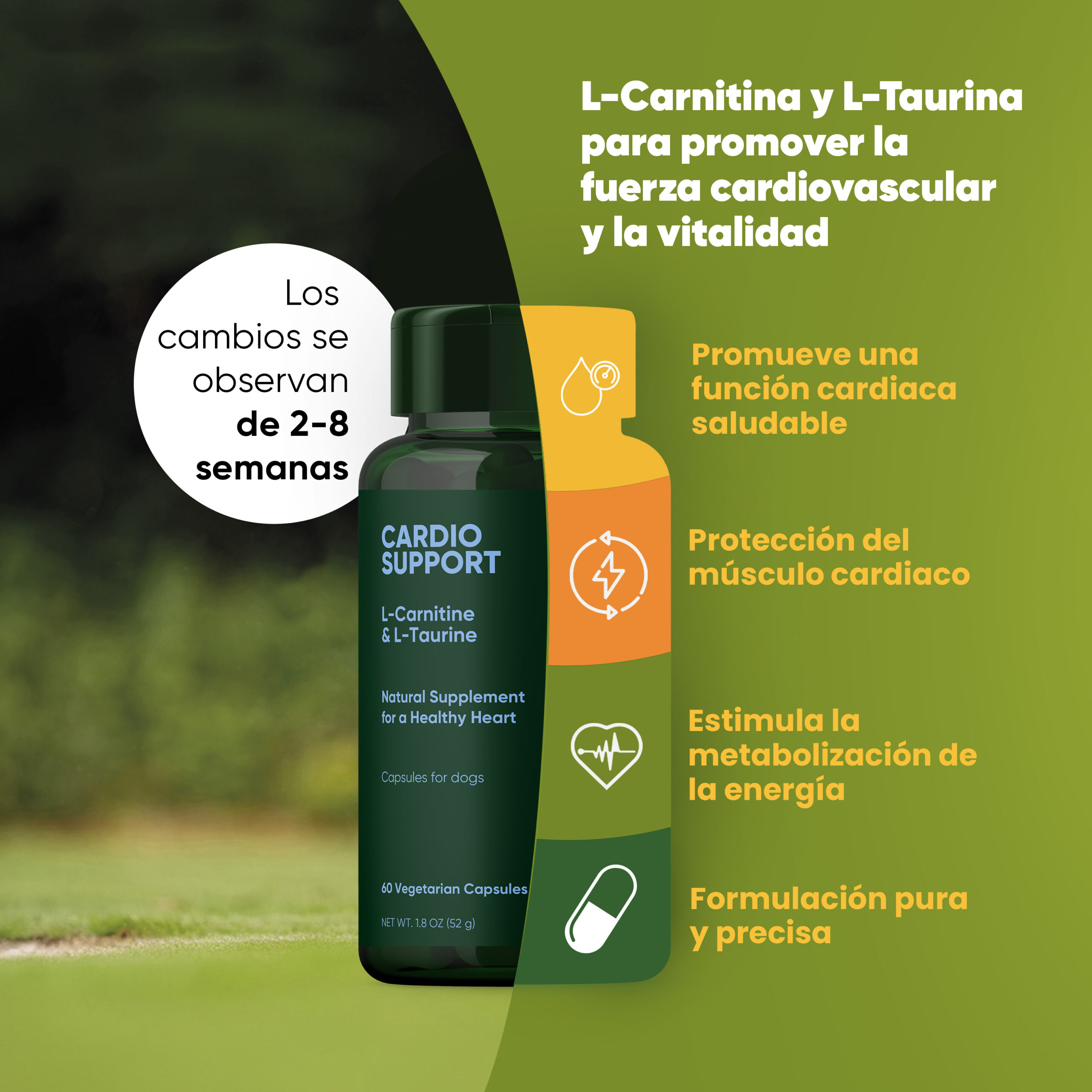 Cardio Support 2