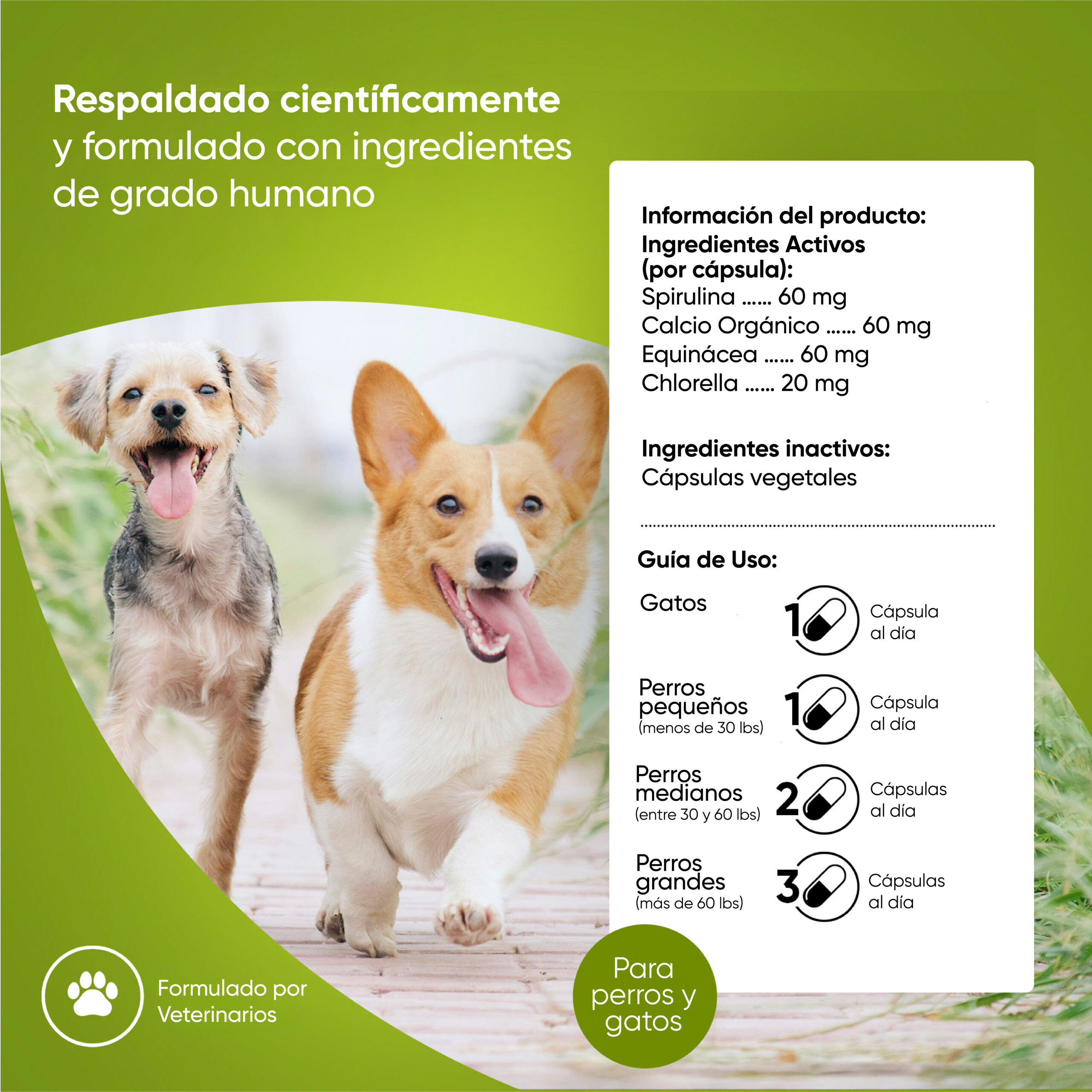 Indicaciones-Blood Support