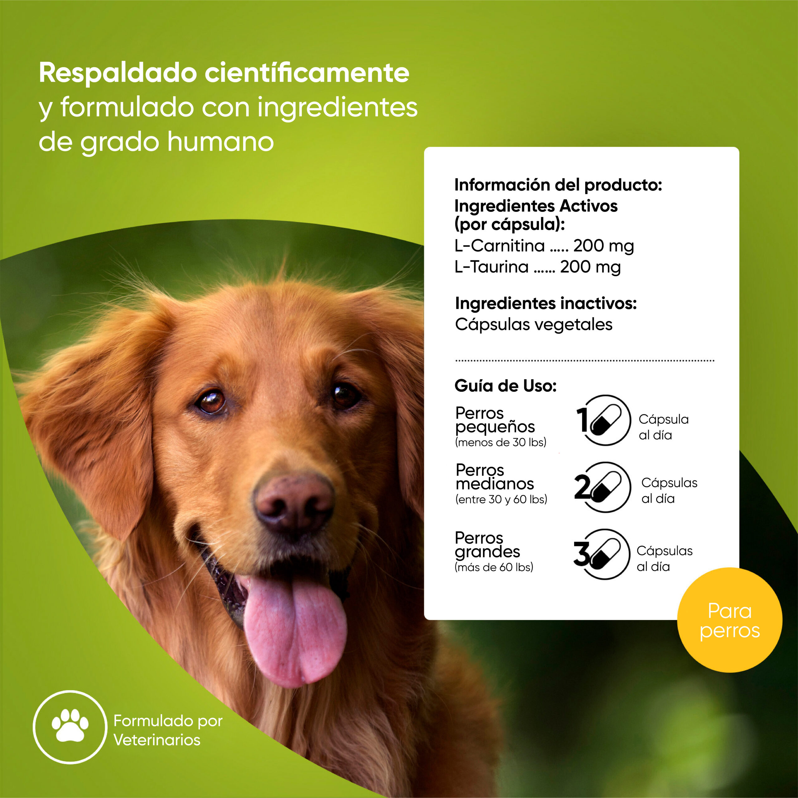 Indicaciones-Cardio Support
