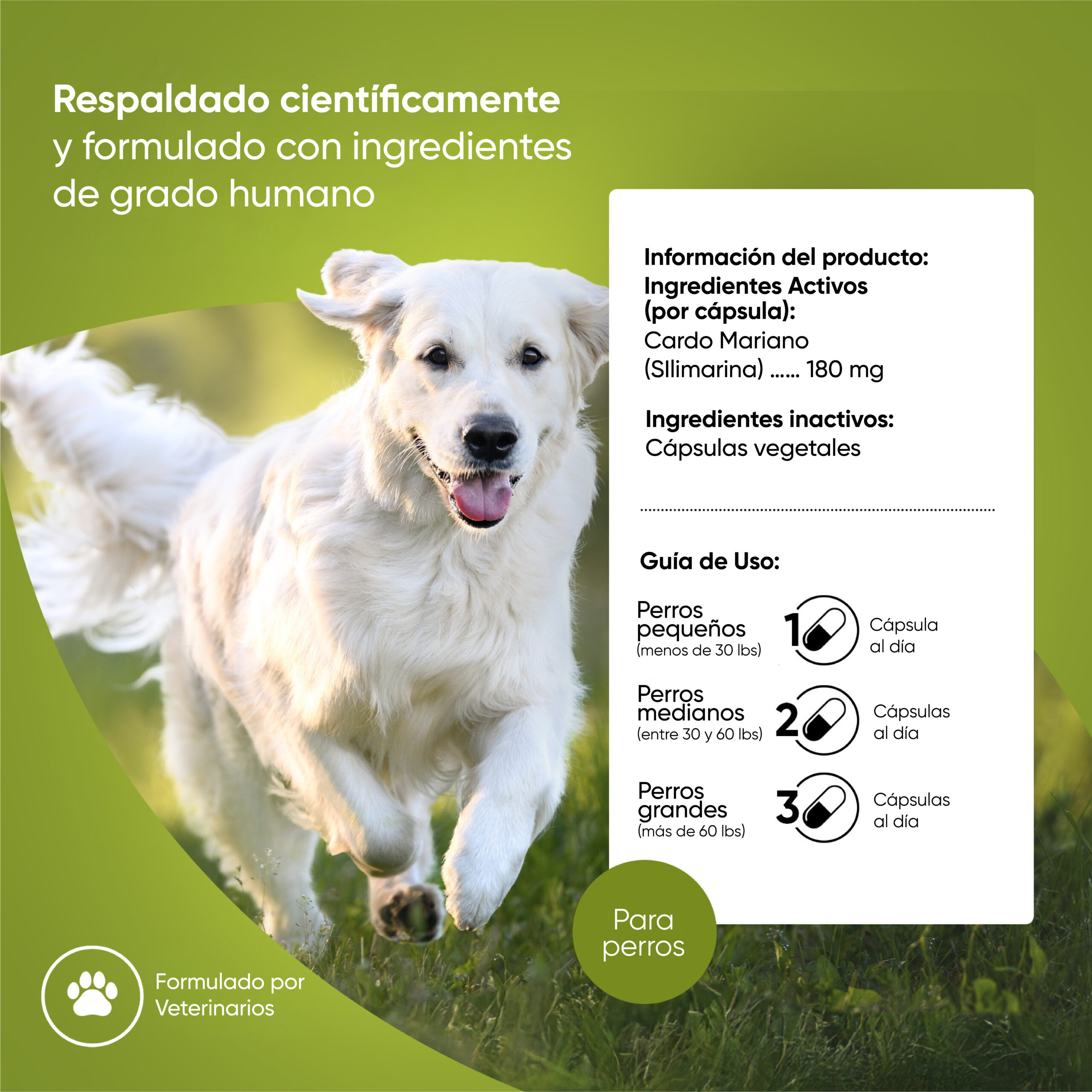 Indicaciones-Liver Support