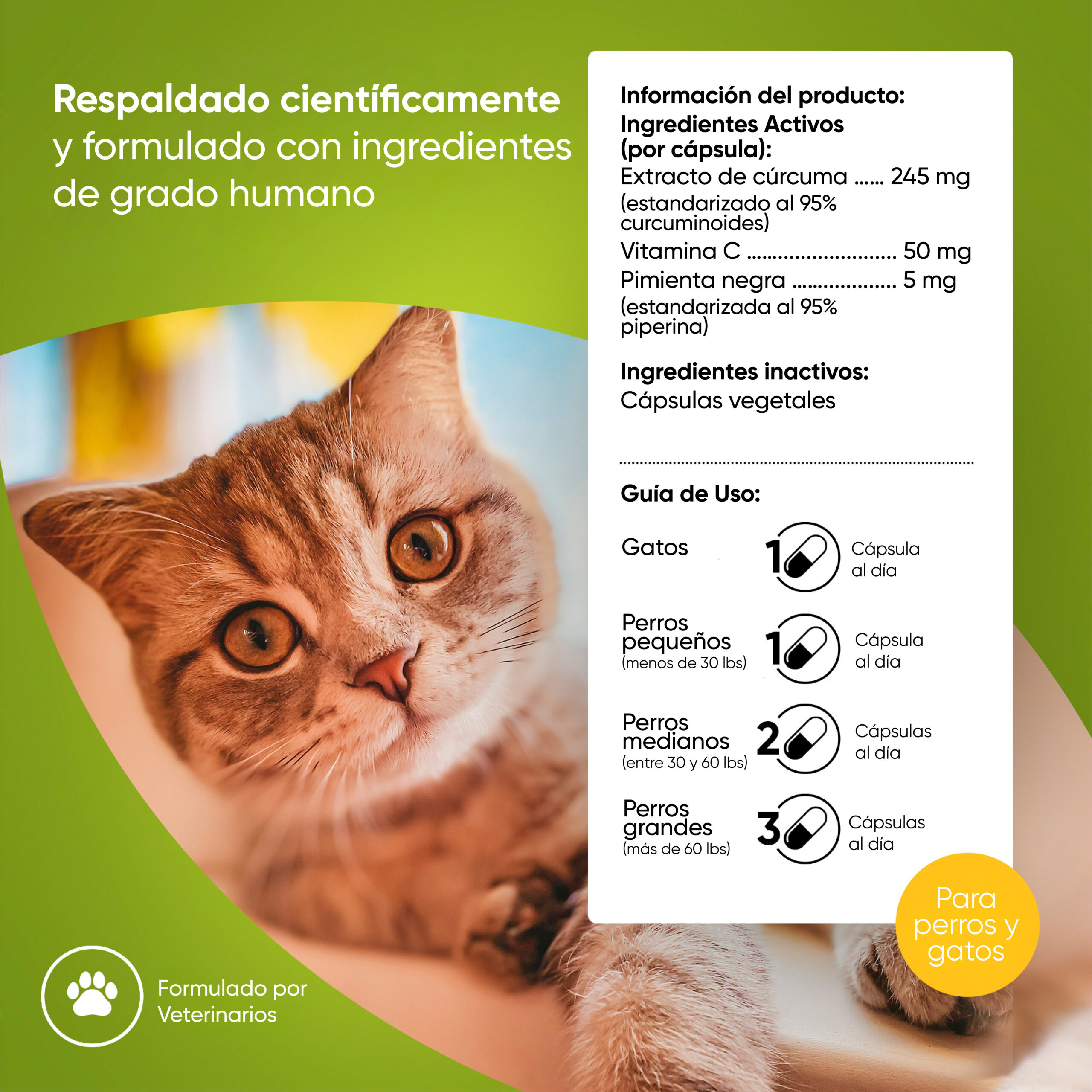 Indicaciones-Turmeric