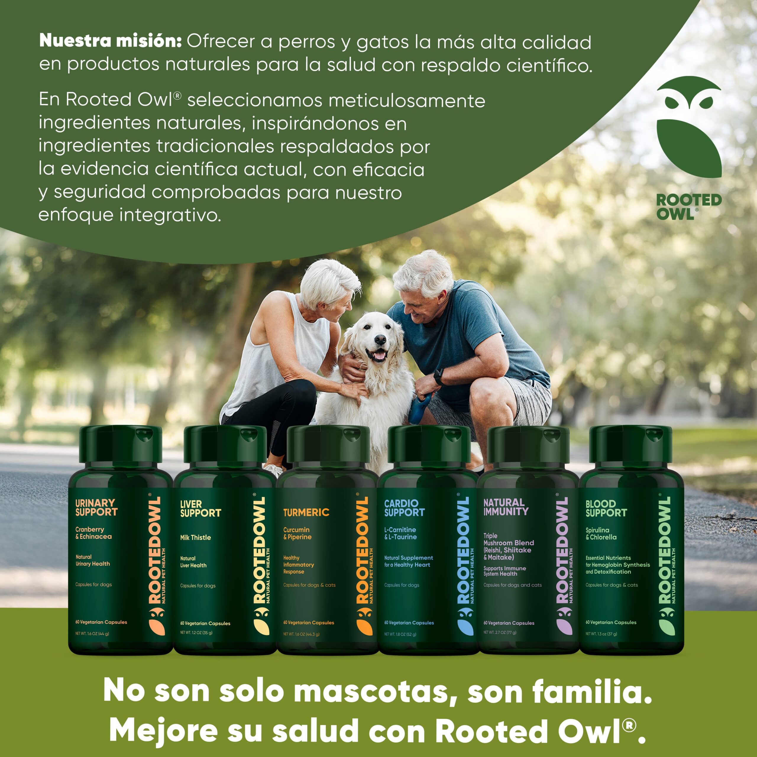 Lifestyle 6