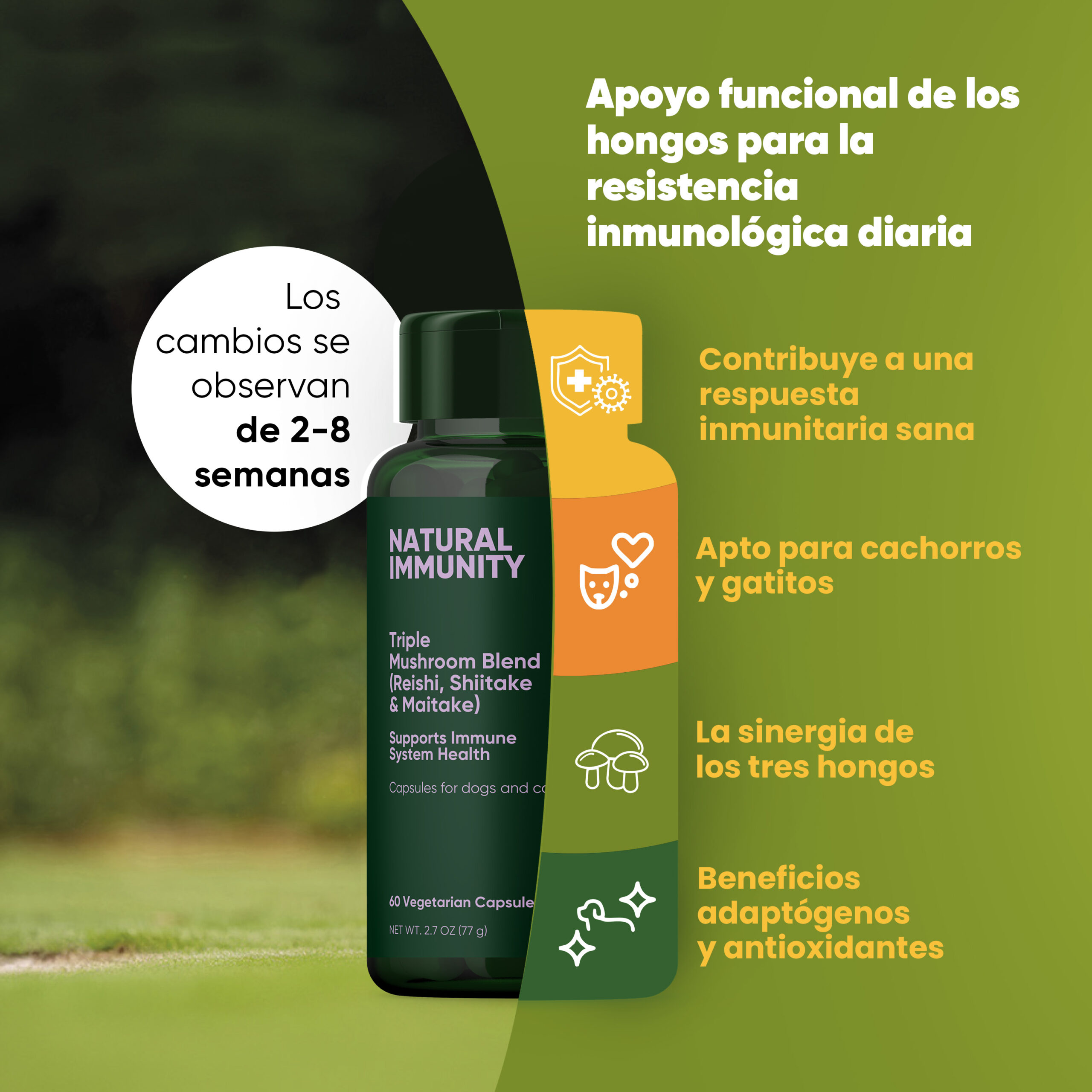 Natural Immunity 2