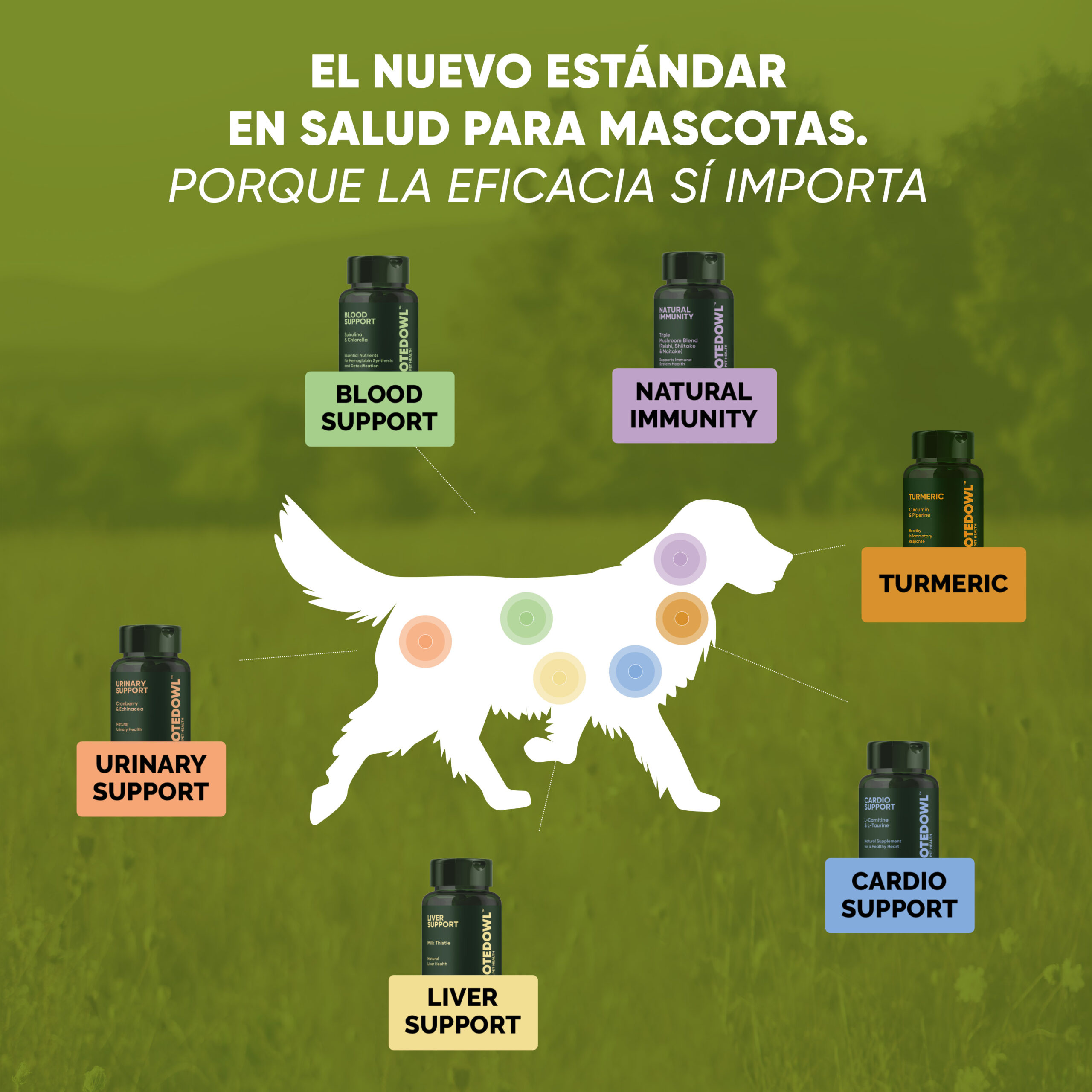 Suplementos 5